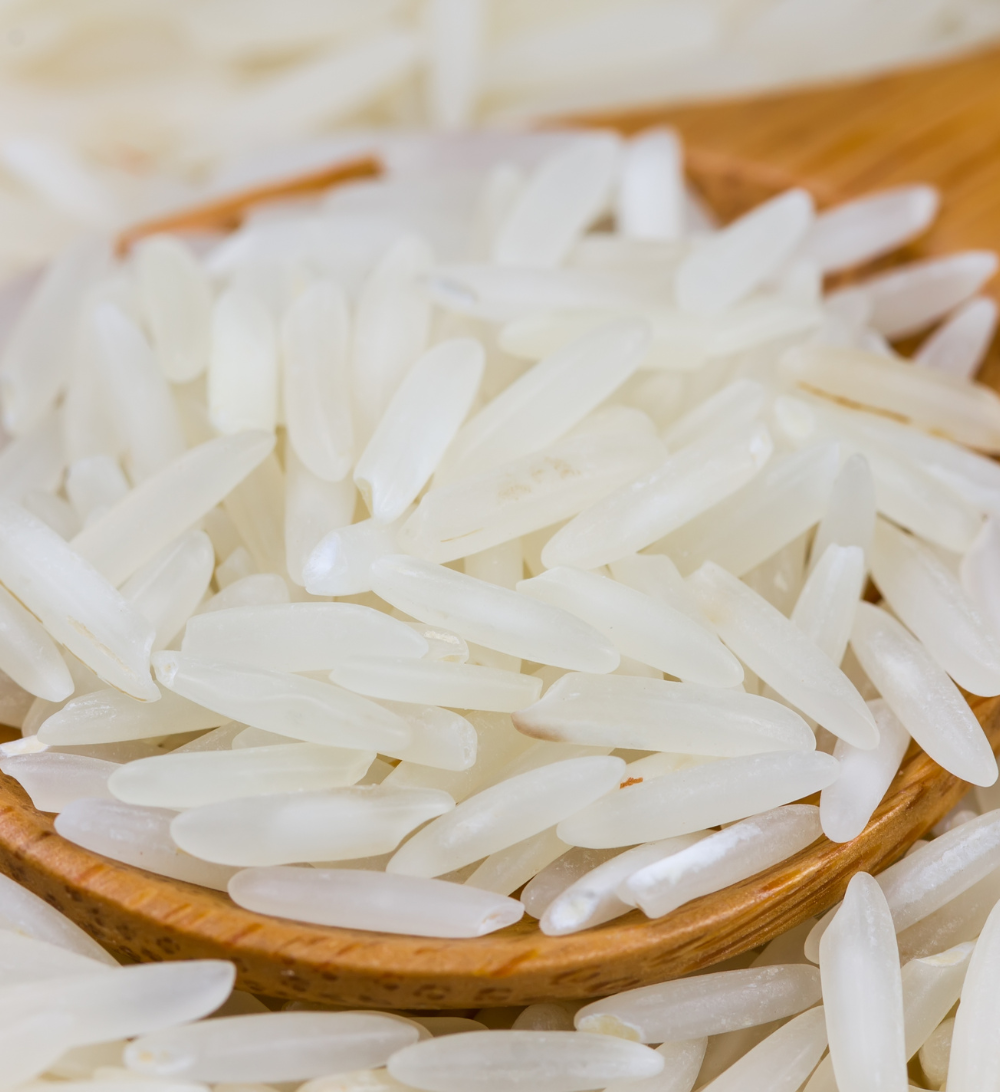 Basmati Rice Export from India