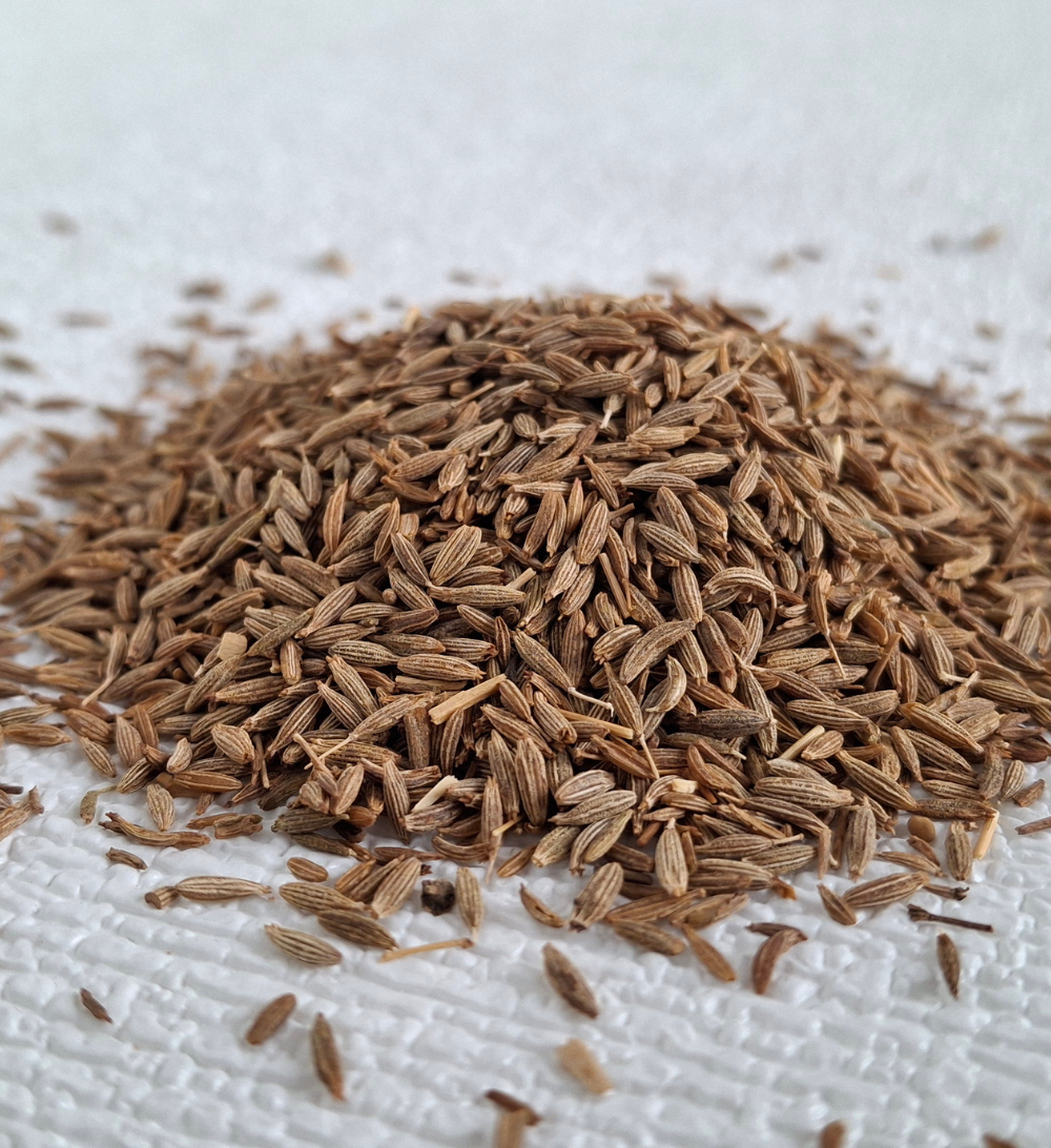 Cumin Seeds Export from India