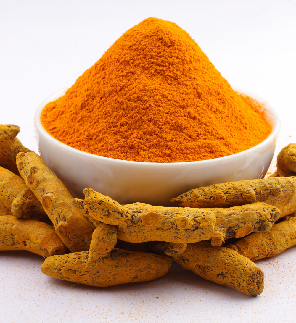 Turmeric Export from India